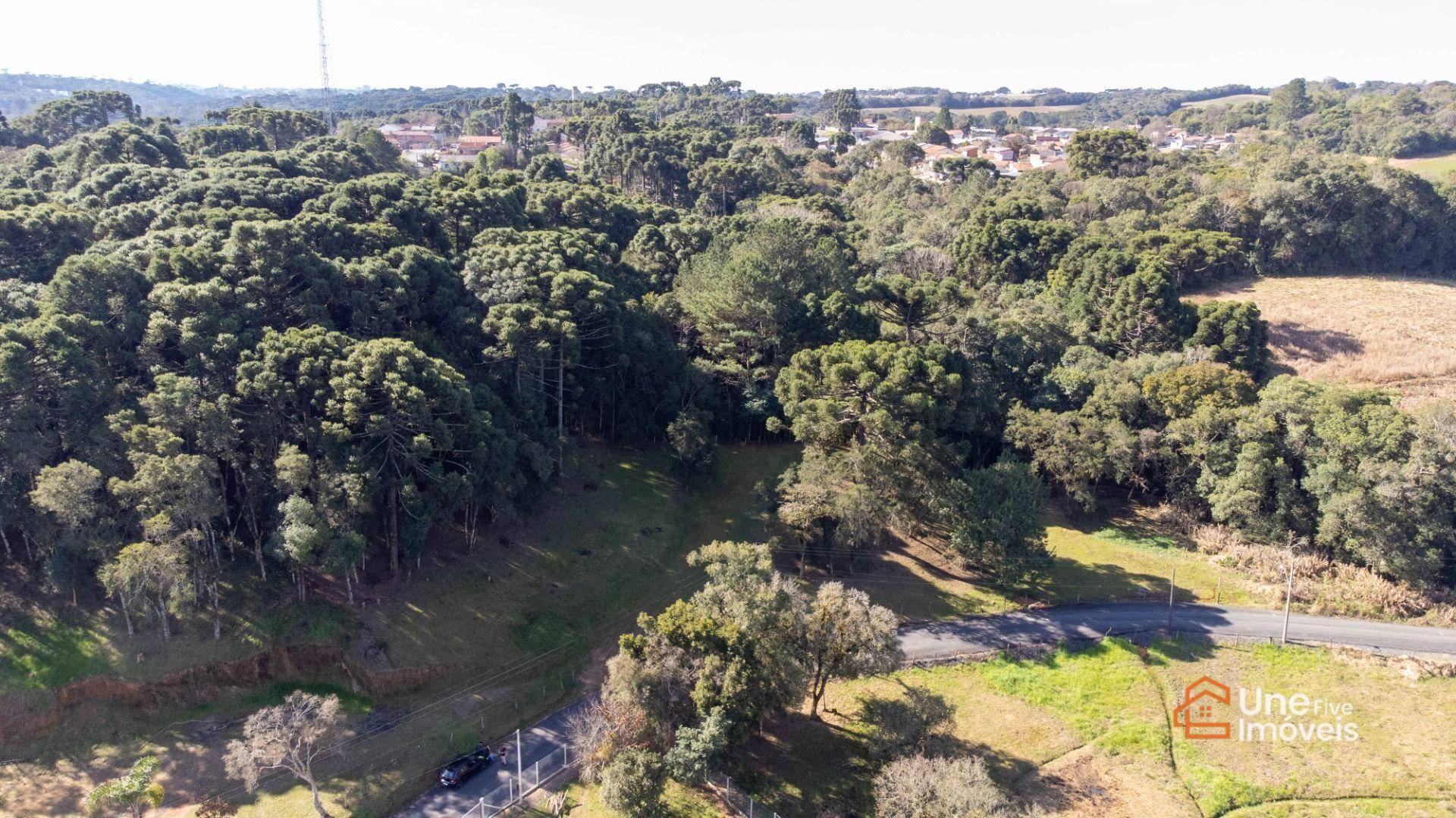 Terreno, 3799 m² - Foto 6