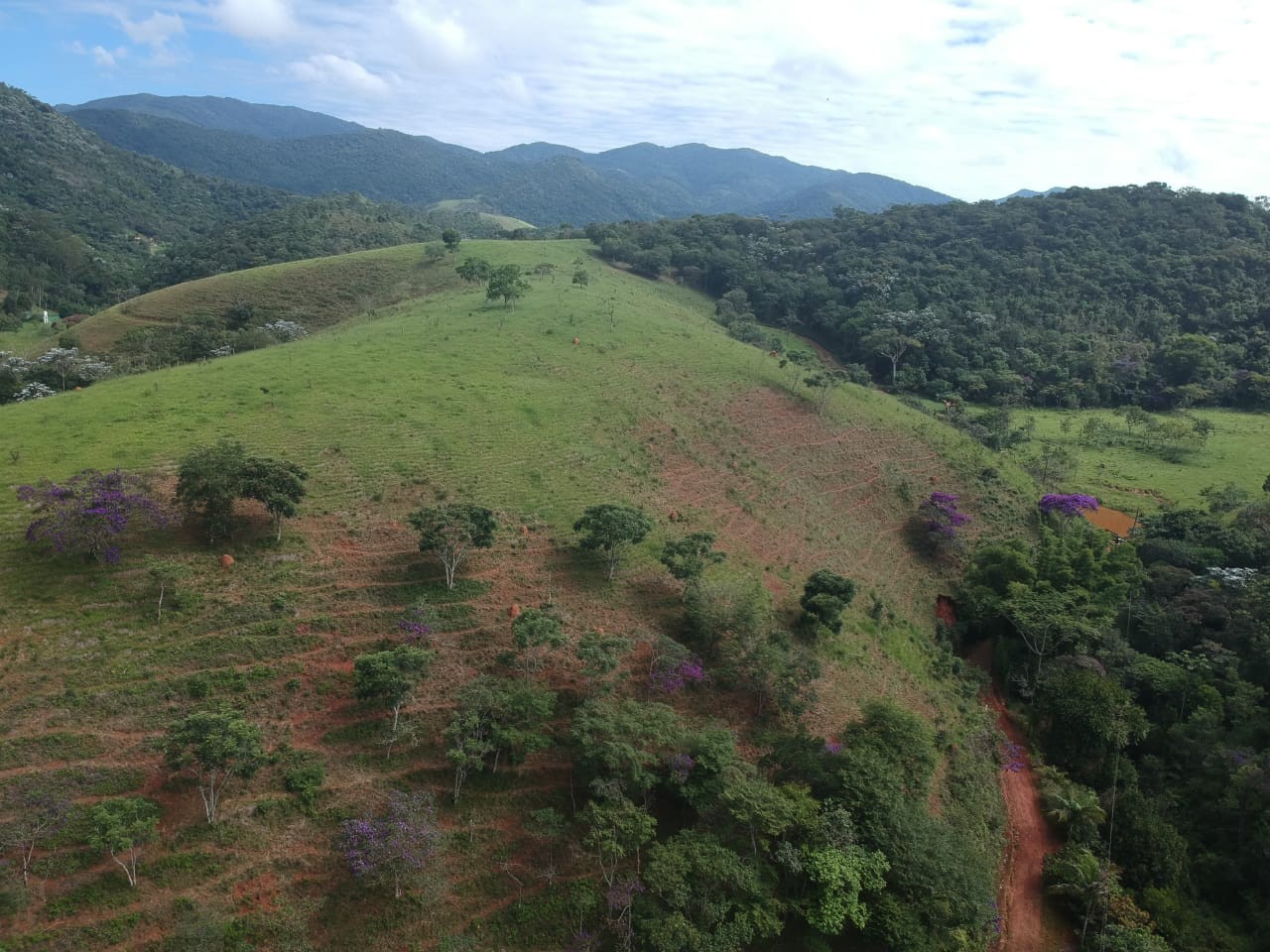 Terreno, 7 hectares - Foto 16