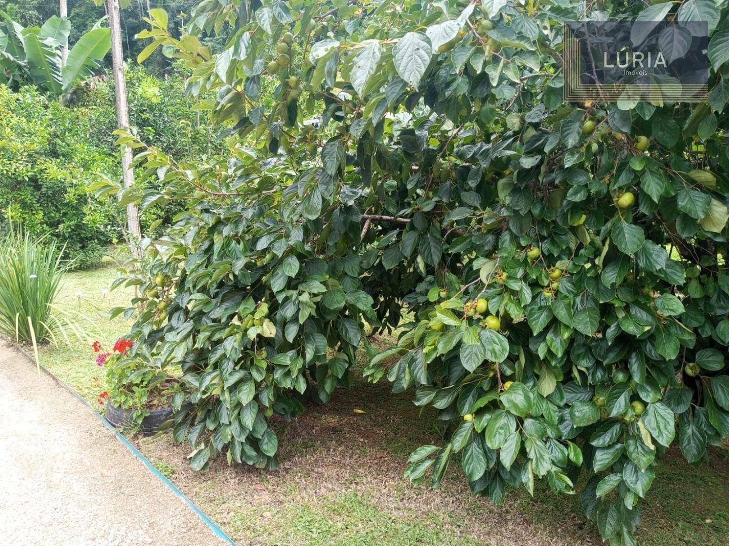 Chácara à venda com 2 quartos, 1800M2 - Foto 23