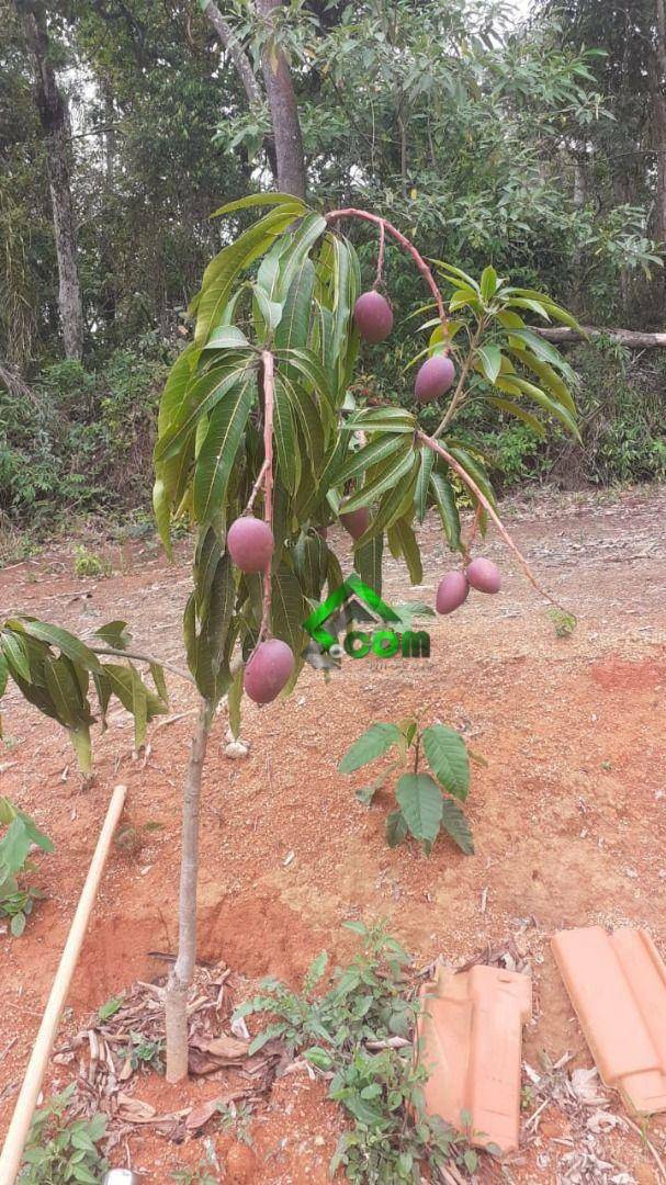 Loteamento e Condomínio à venda, 2051M2 - Foto 11