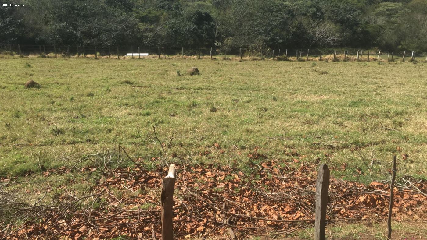 Sítio à venda com 3 quartos, 150m² - Foto 8