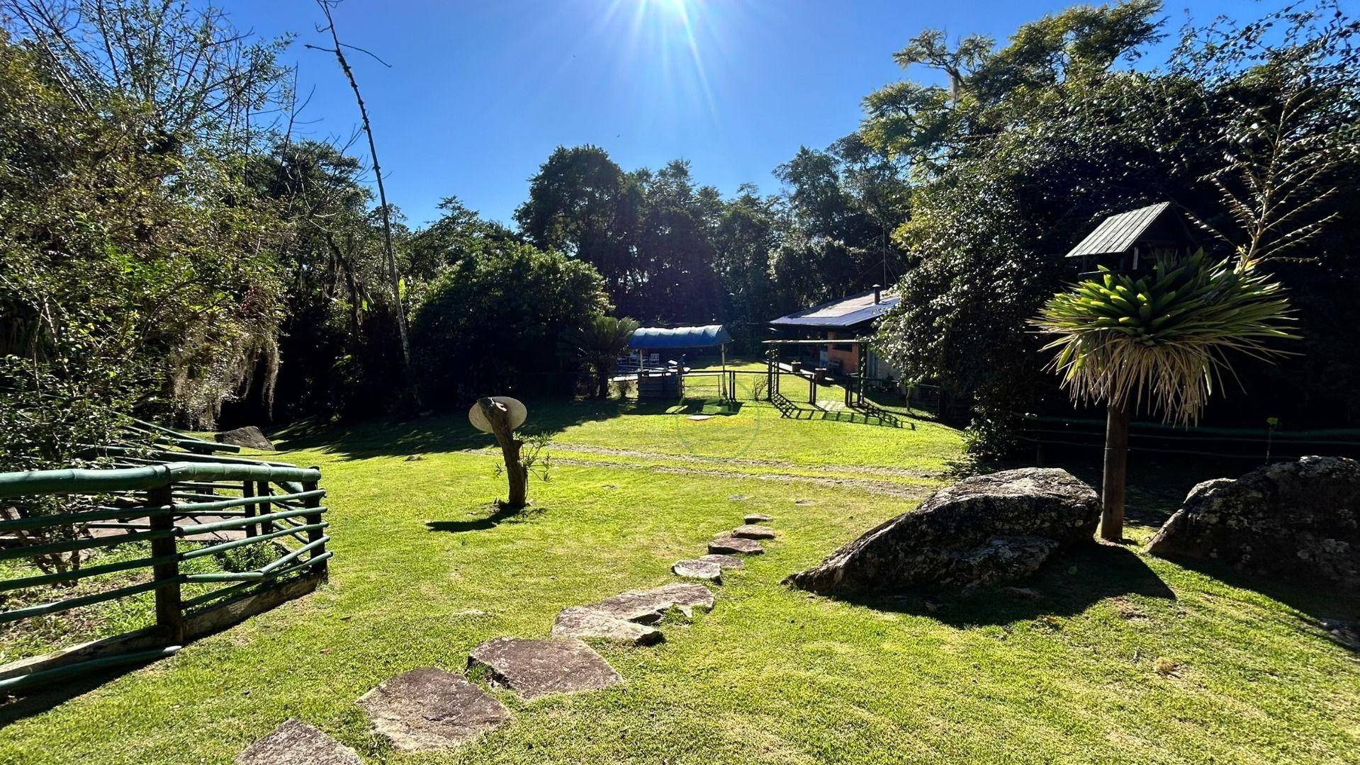 Sítio, 14 hectares - Foto 5