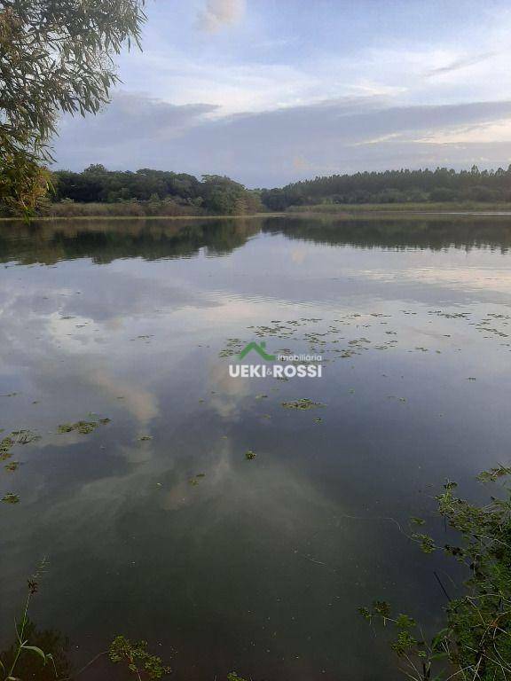 Chácara à venda com 2 quartos, 1000M2 - Foto 29