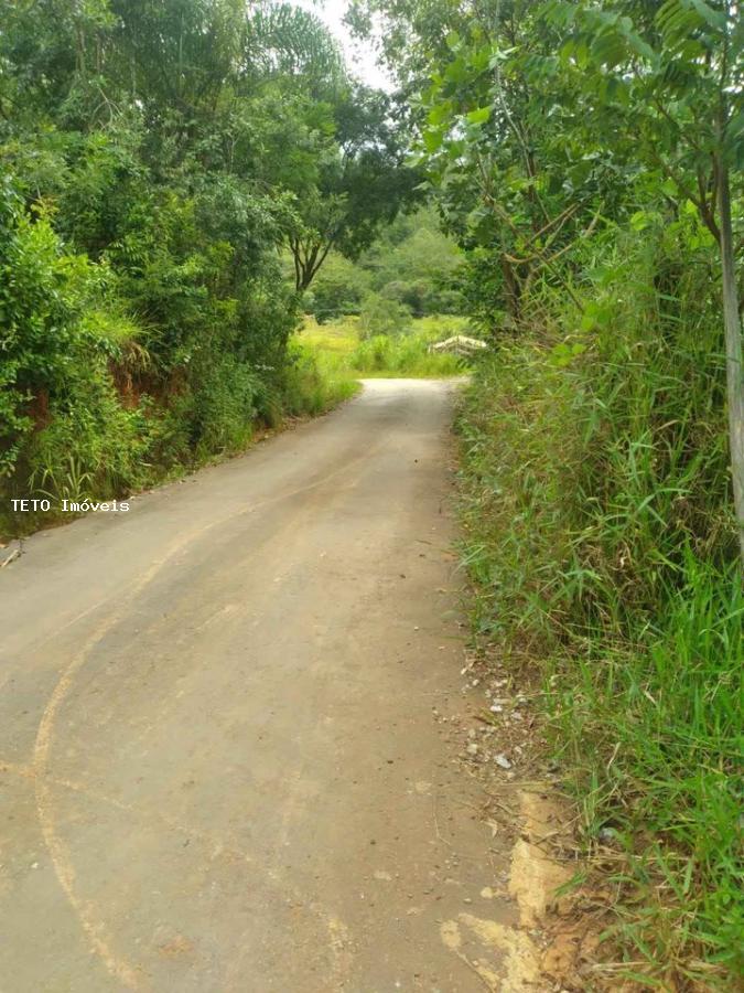 Fazenda à venda com 3 quartos, 6000m² - Foto 10