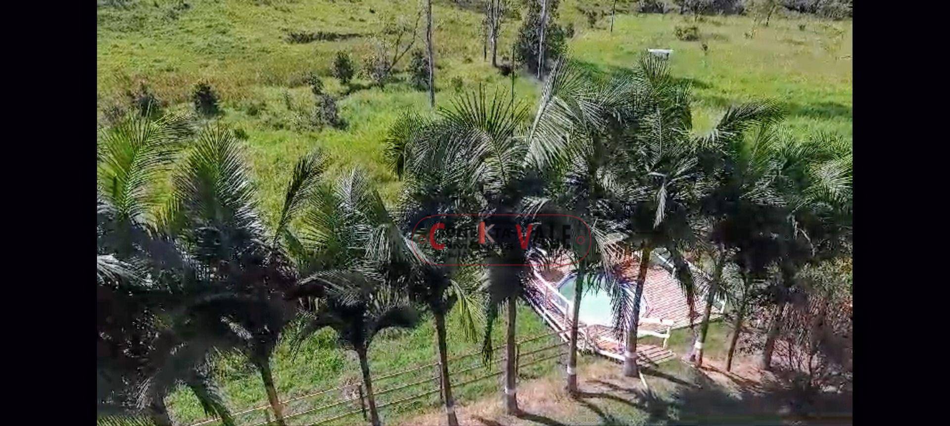 Sítio, 4 quartos, 10 hectares - Foto 11