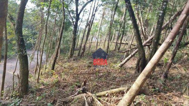 Terreno à venda, 2000M2 - Foto 2