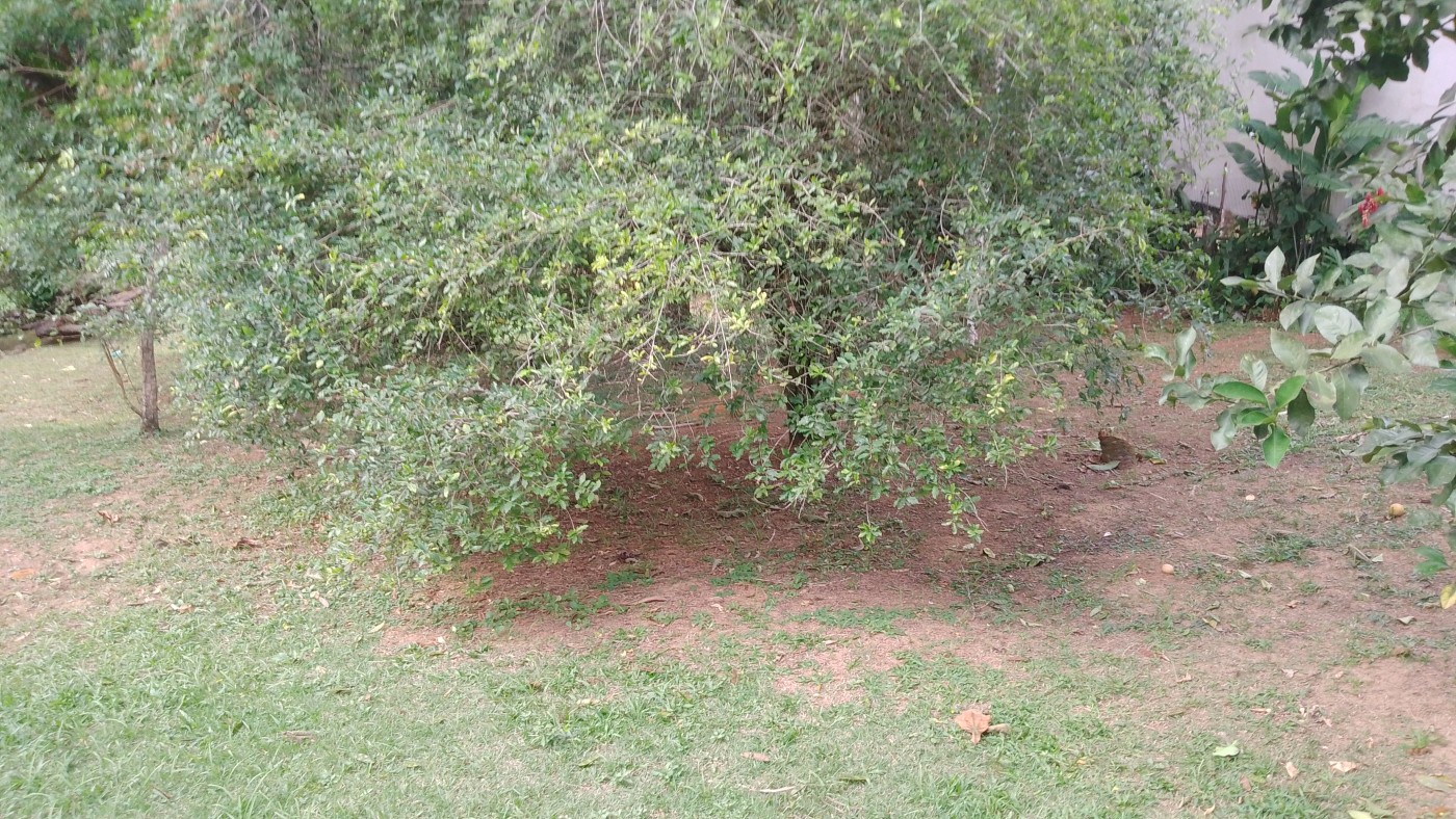 Casa de Condomínio à venda, 3511m² - Foto 24