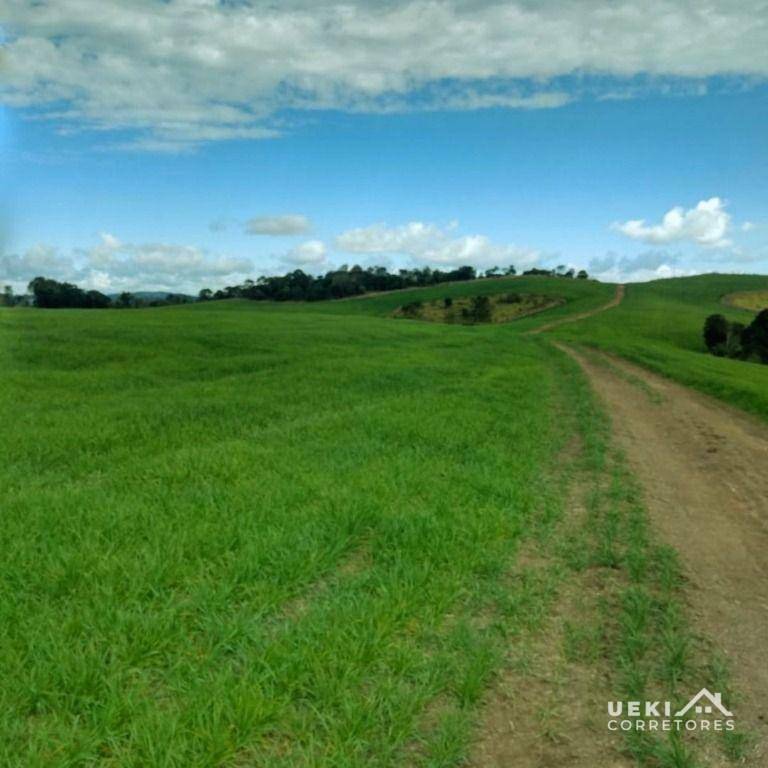 Fazenda-Sítio-Chácara, 315 hectares - Foto 3