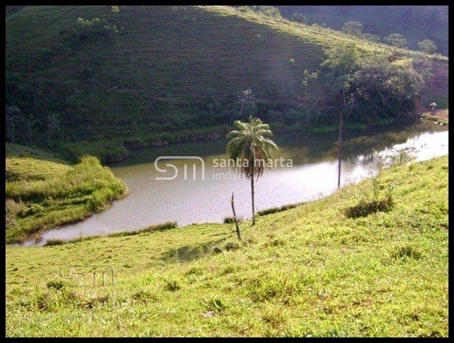 Fazenda à venda com 10 quartos, 5000m² - Foto 2