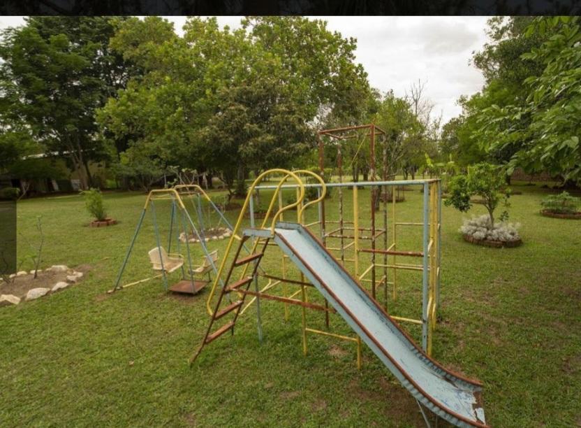 Chácara à venda com 3 quartos, 5000m² - Foto 7