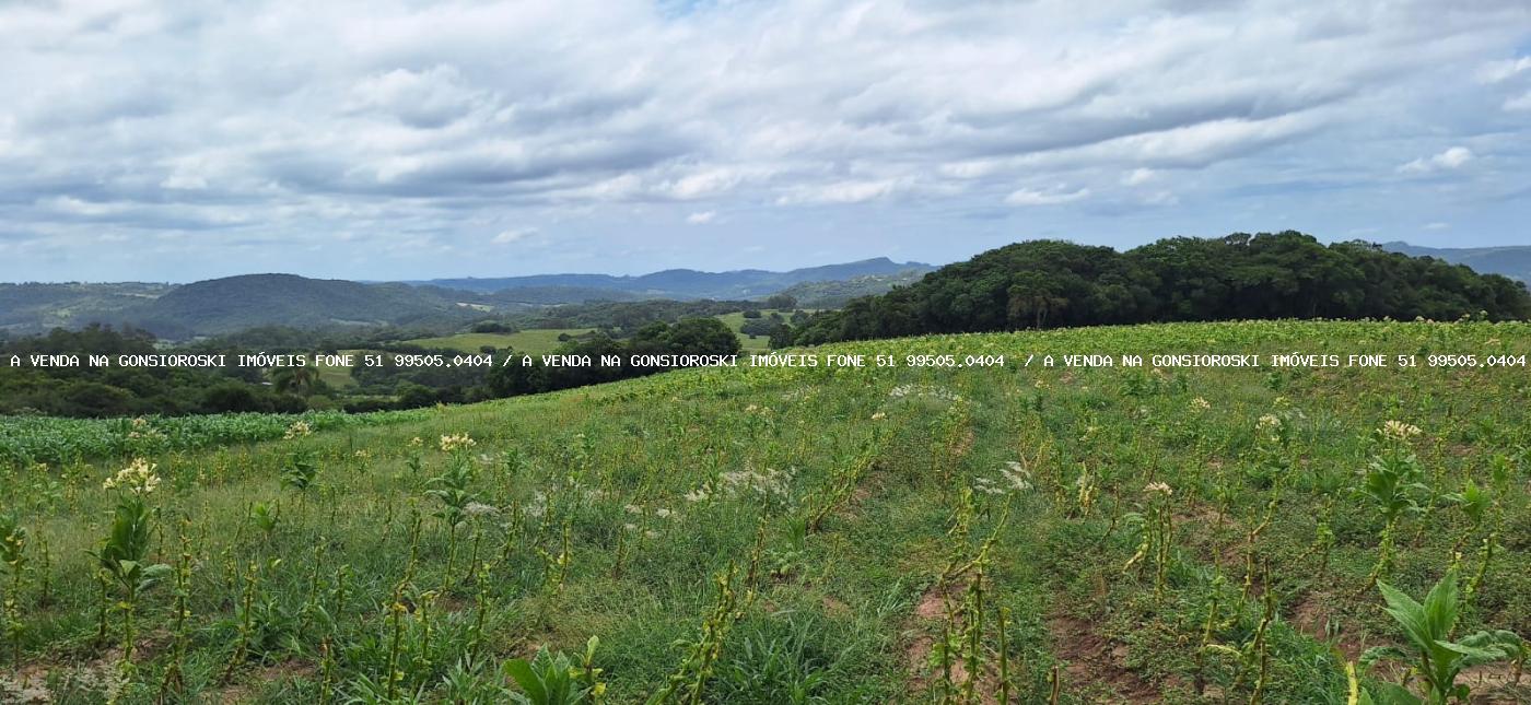 Loteamento e Condomínio à venda, 125000m² - Foto 7