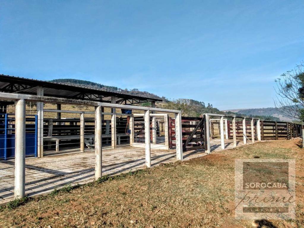 Fazenda à venda, 1500400M2 - Foto 3