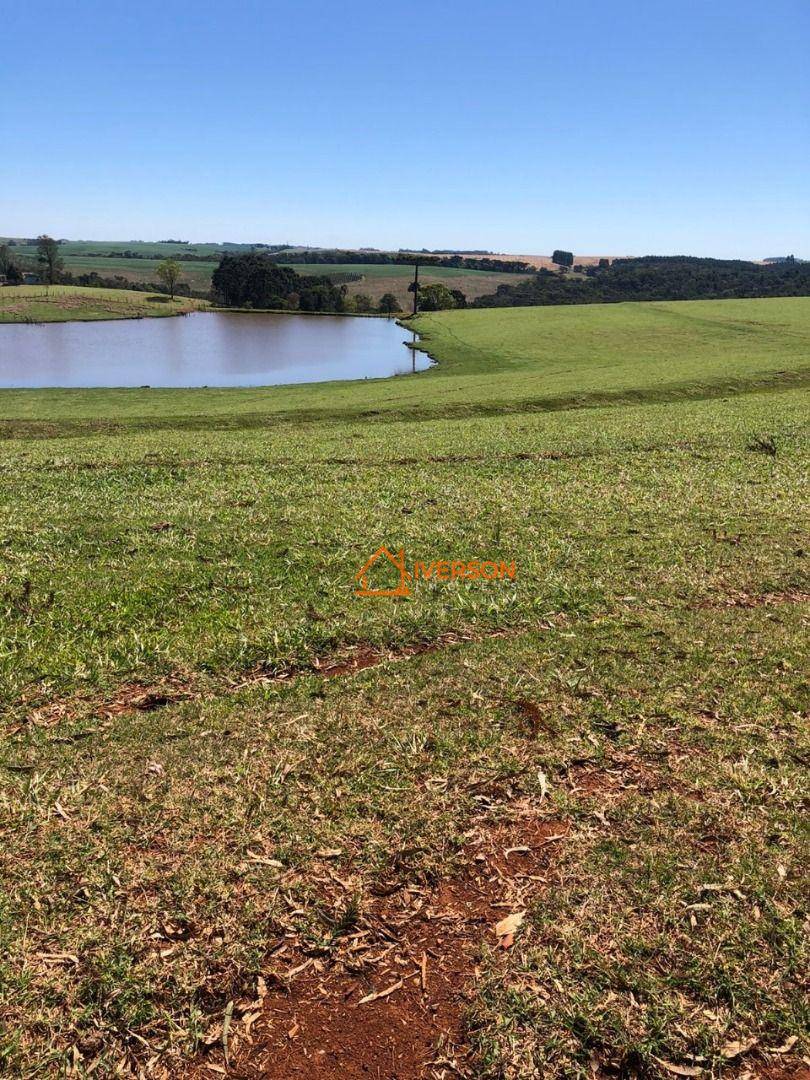 Fazenda à venda com 2 quartos, 2662000M2 - Foto 17