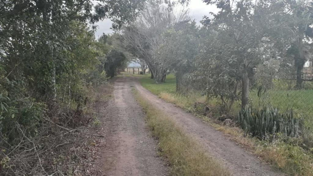 Fazenda à venda com 1 quarto, 70m² - Foto 3