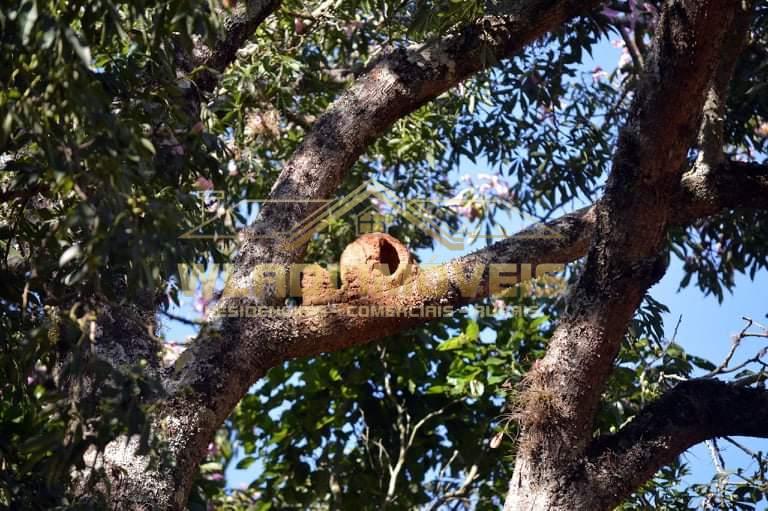 Fazenda à venda, 114m² - Foto 33