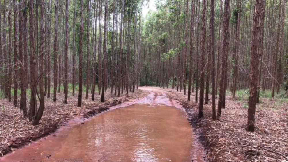 Fazenda à venda, 449m² - Foto 8