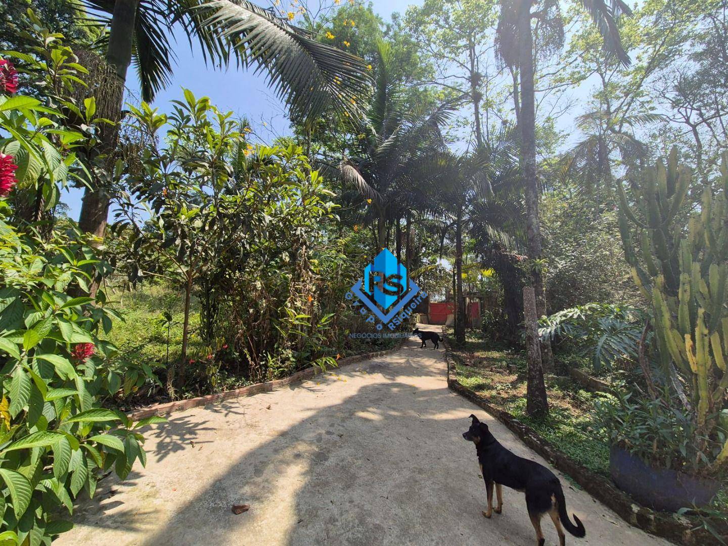 Chácara, 2 quartos, 5035 m² - Foto 3