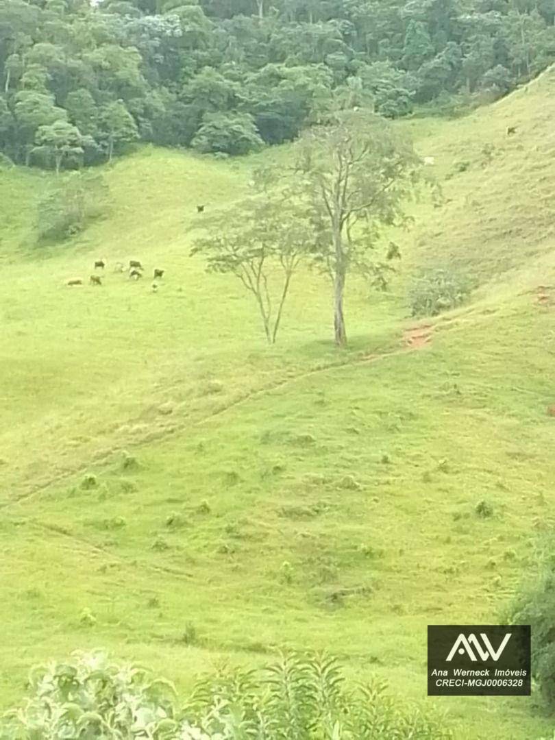 Chácara à venda com 1 quarto, 150000M2 - Foto 7