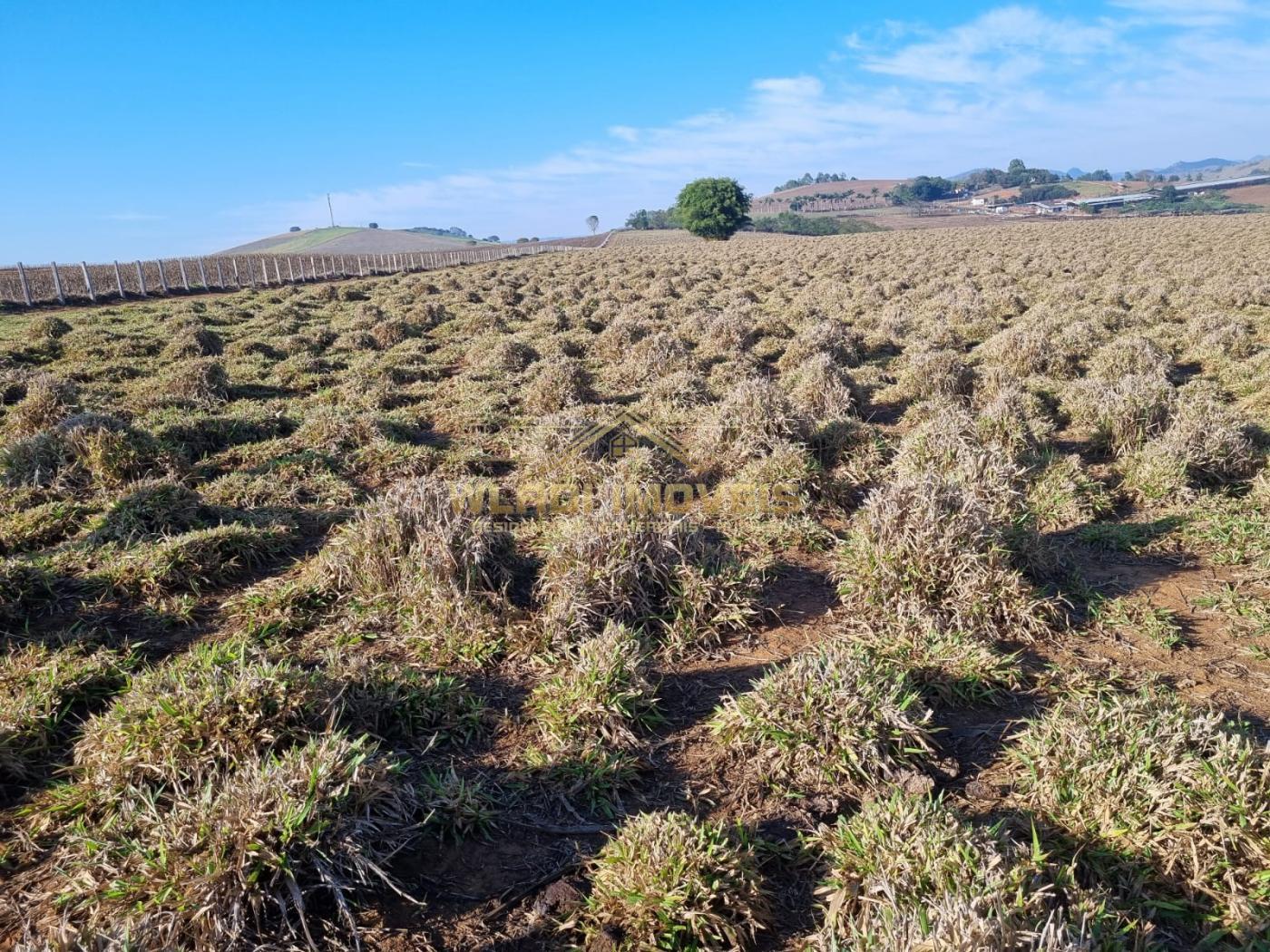 Fazenda à venda, 84m² - Foto 9