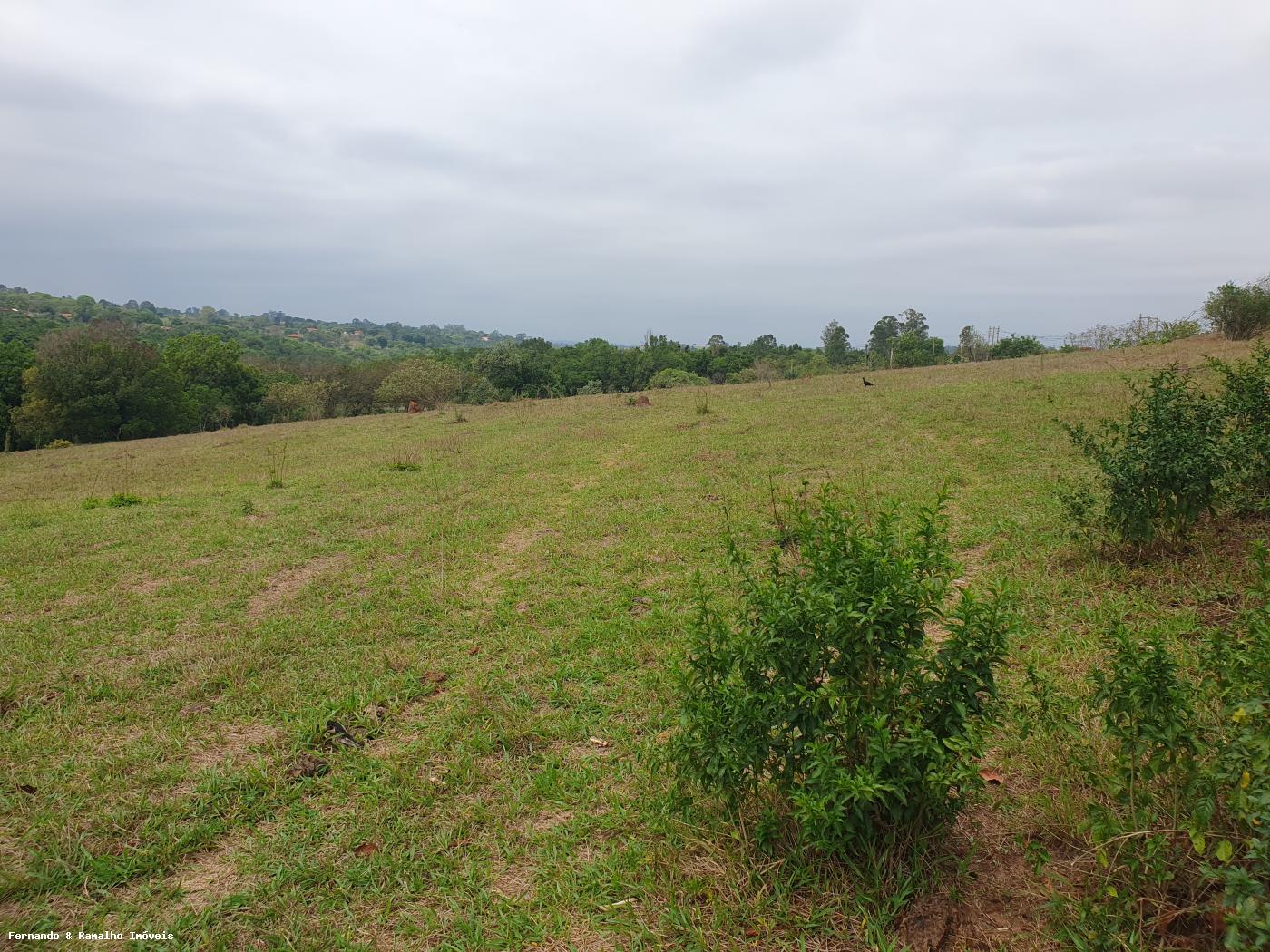 Fazenda à venda com 3 quartos, 80000m² - Foto 26