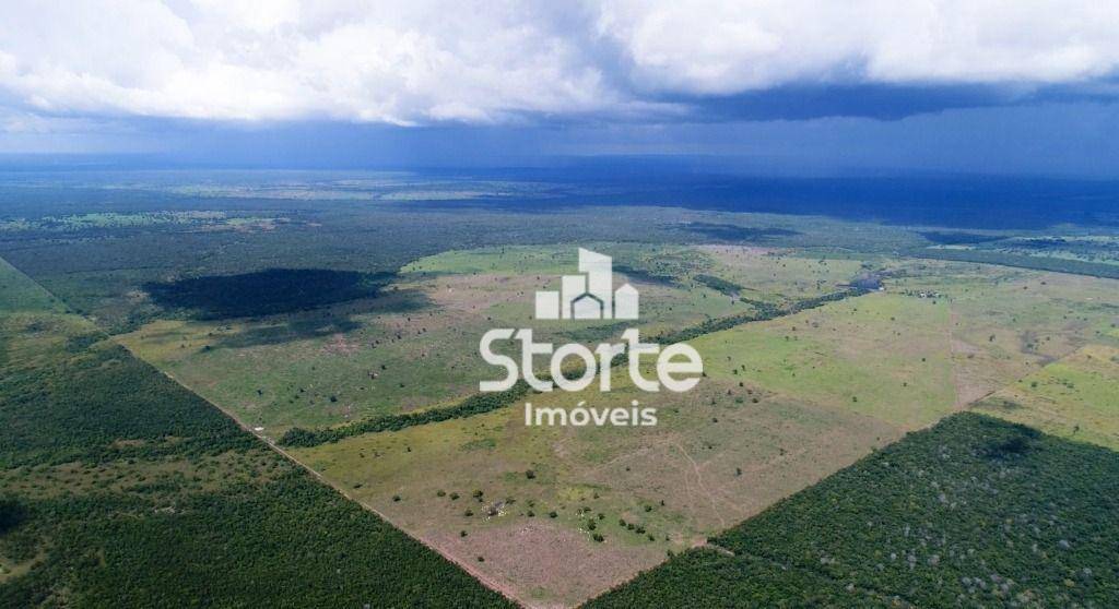 Fazenda-Sítio-Chácara, 1338 hectares - Foto 2