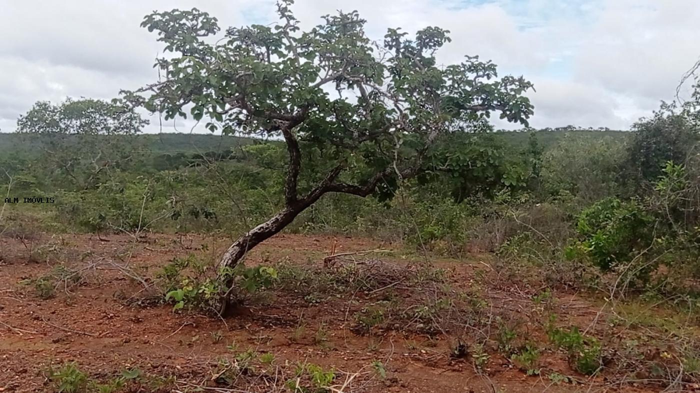 Chácara à venda, 26000m² - Foto 11