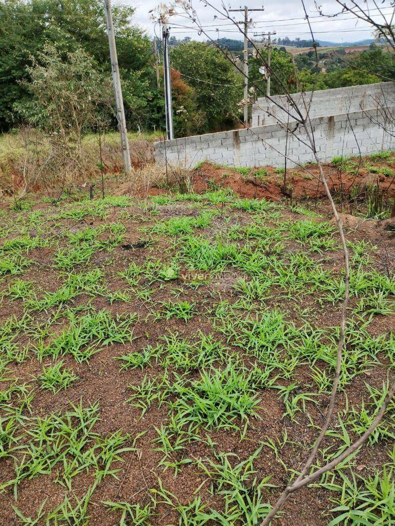 Terreno à venda, 2062M2 - Foto 5