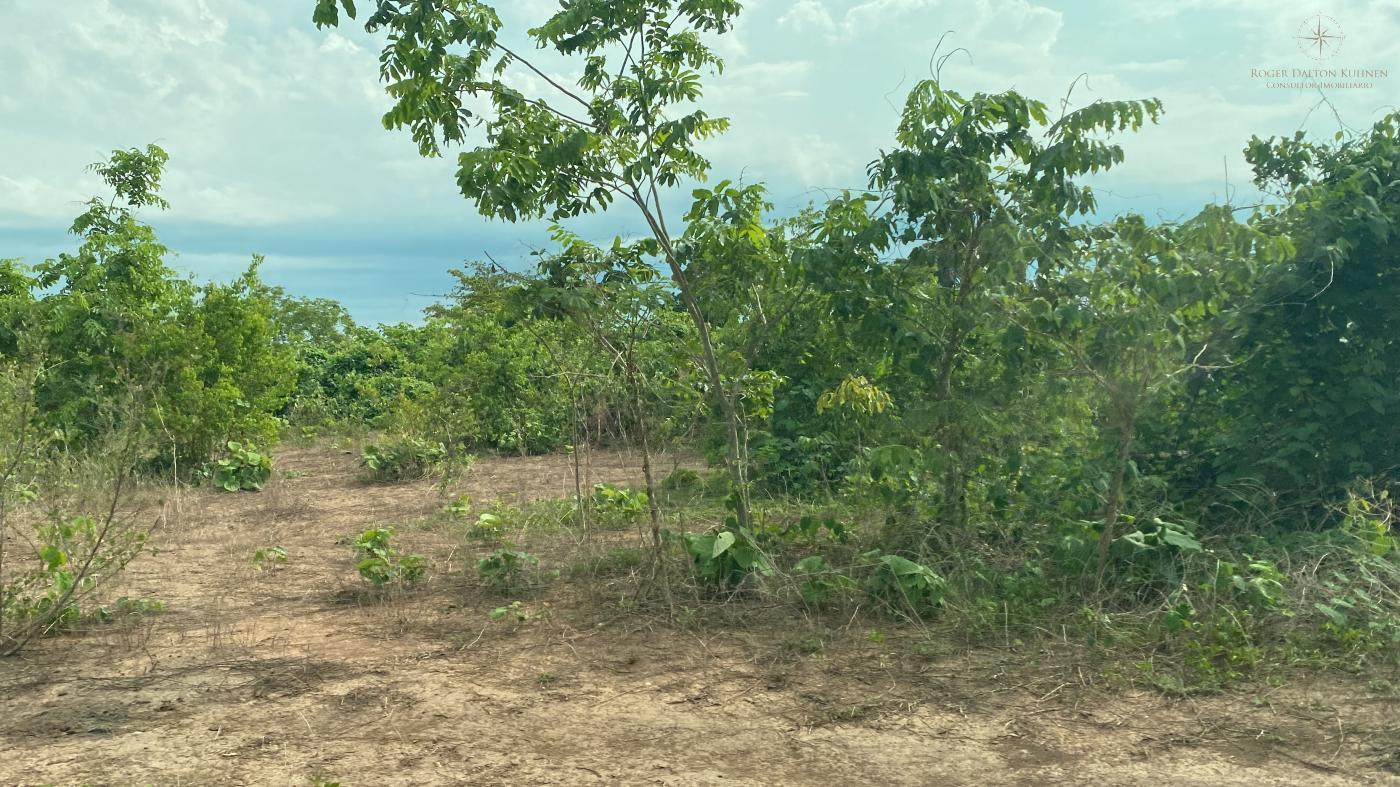 Fazenda-Sítio-Chácara, 580 hectares - Foto 4