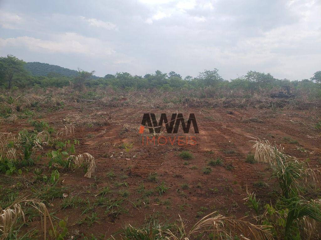 Fazenda, 4306 hectares - Foto 4