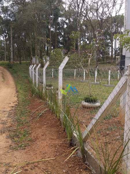 Chácara à venda com 3 quartos, 3400M2 - Foto 5