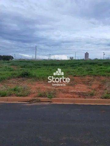 Terreno à venda, 250M2 - Foto 3