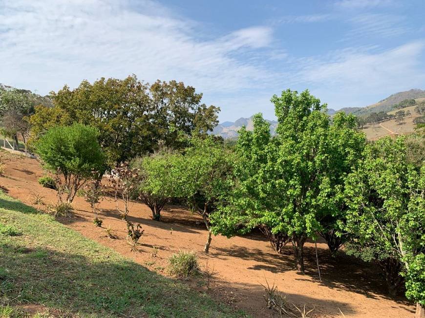 Sítio à venda com 4 quartos, 45m² - Foto 3