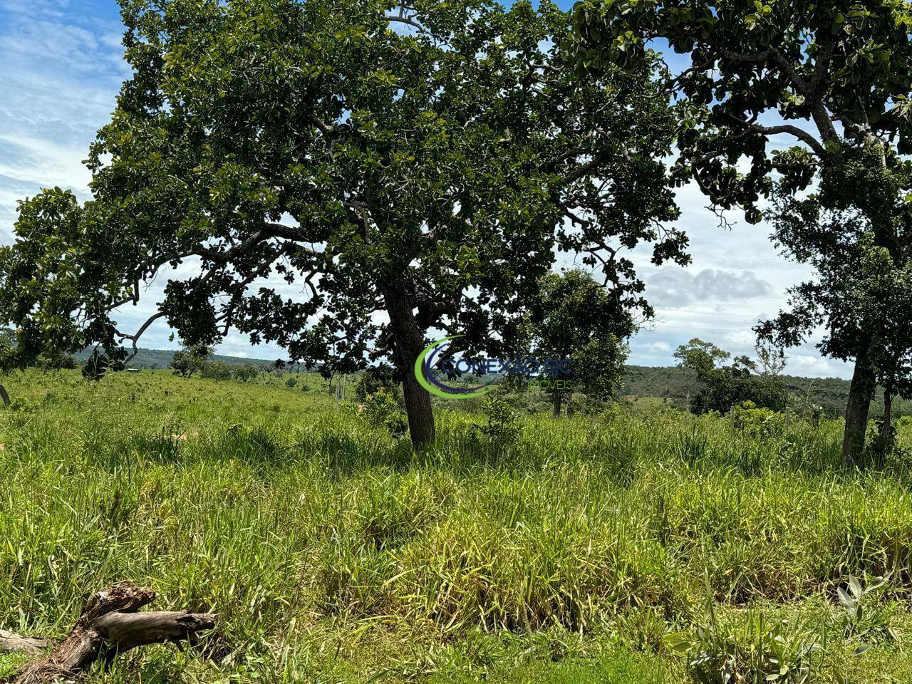 Fazenda à venda com 3 quartos, 19360000M2 - Foto 5