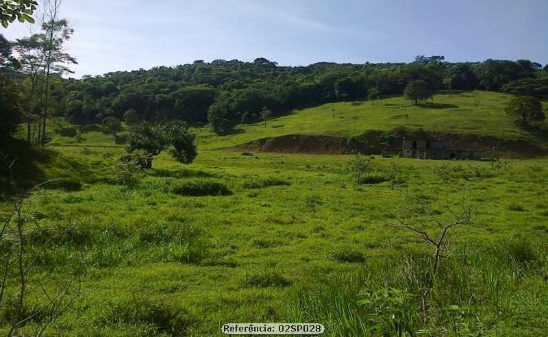 Sítio à venda com 2 quartos, 240000m² - Foto 6