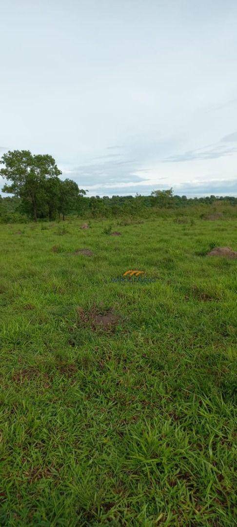 Fazenda à venda, 14110000M2 - Foto 12