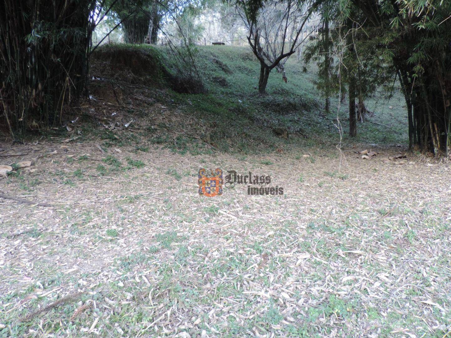 Sítio, 2 quartos, 100 hectares - Foto 5