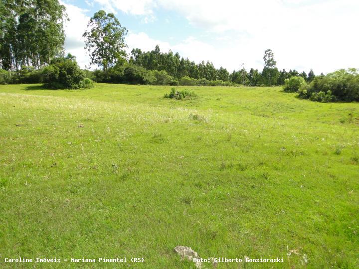 Fazenda à venda com 3 quartos, 160000m² - Foto 20