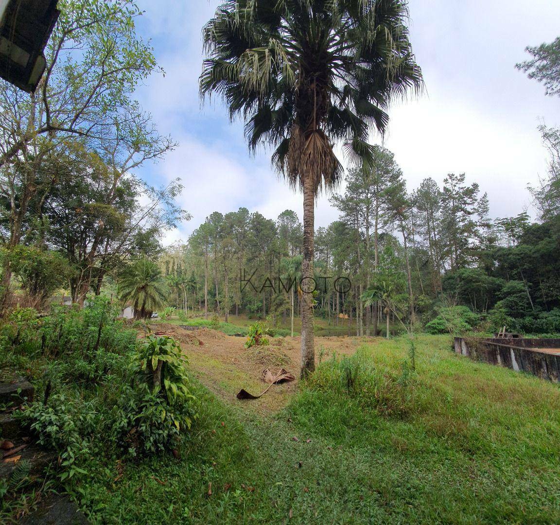 Chácara à venda com 12 quartos, 195724M2 - Foto 16