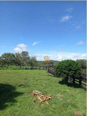 Fazenda à venda com 3 quartos, 7160000M2 - Foto 16