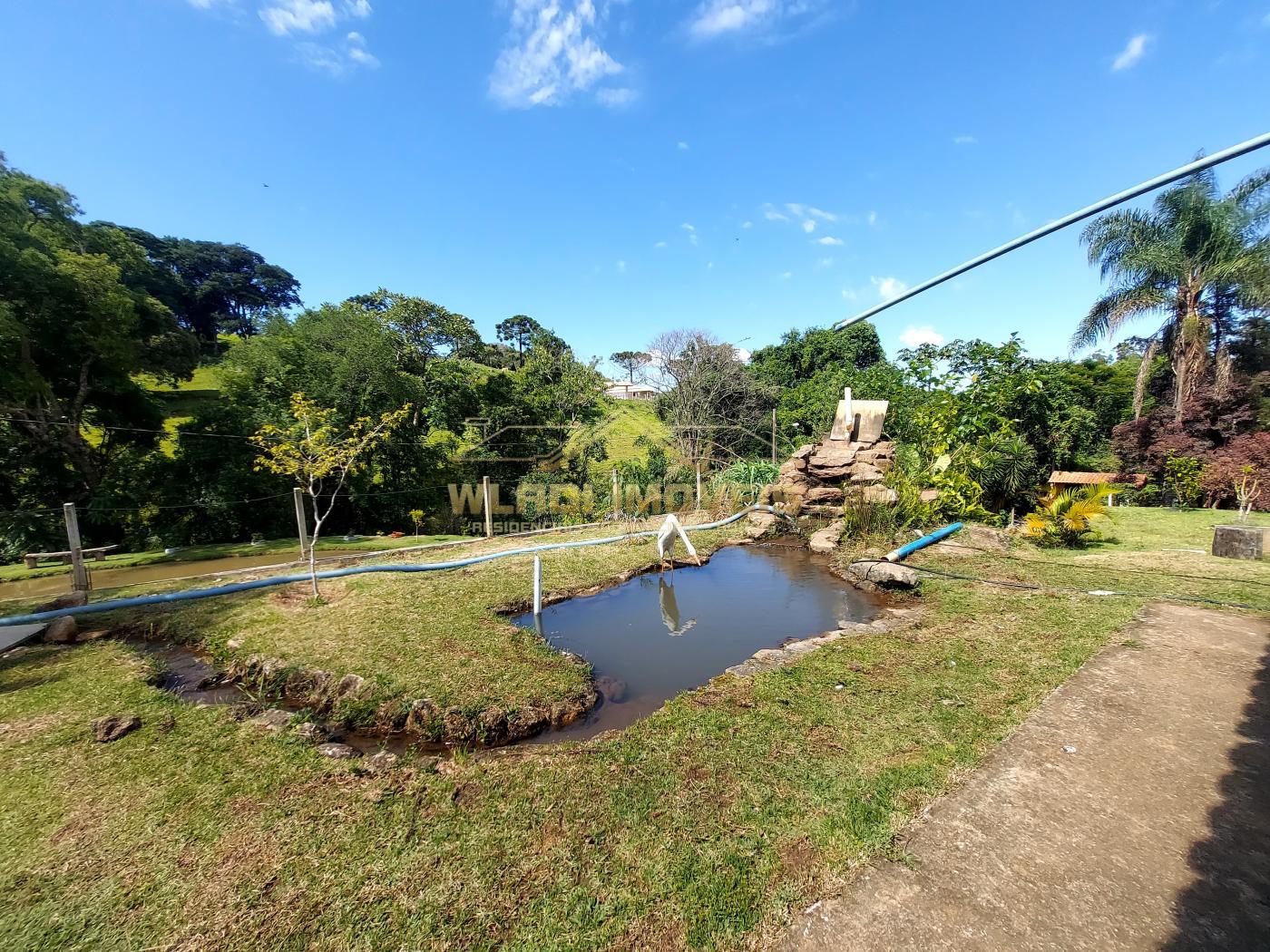 Fazenda à venda com 3 quartos, 30000m² - Foto 9