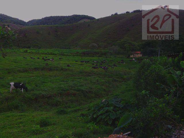 Sítio à venda com 2 quartos, 411400M2 - Foto 7