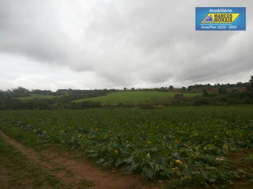 Terreno à venda, 39000M2 - Foto 2