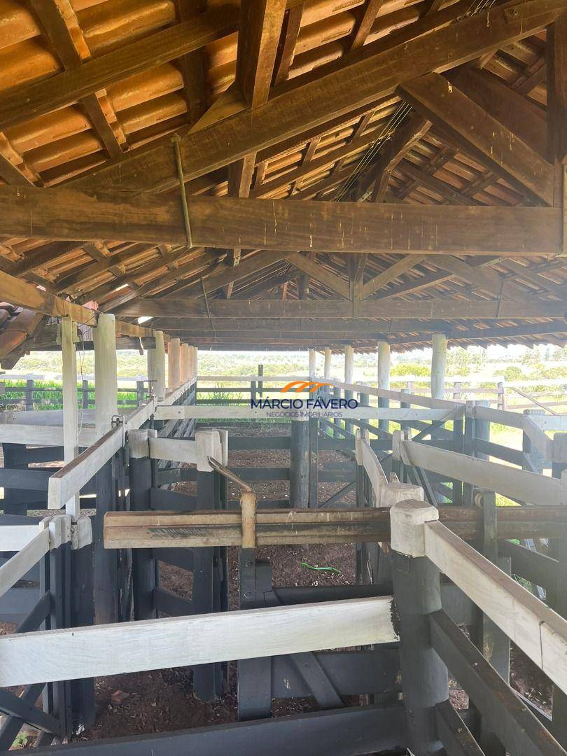 Fazenda, 322 hectares - Foto 24