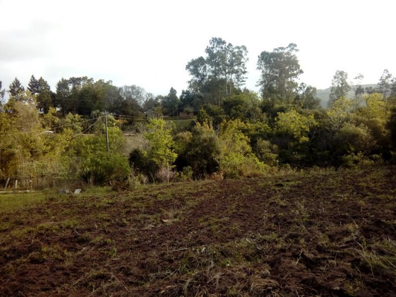 Fazenda à venda com 1 quarto, 30000m² - Foto 13