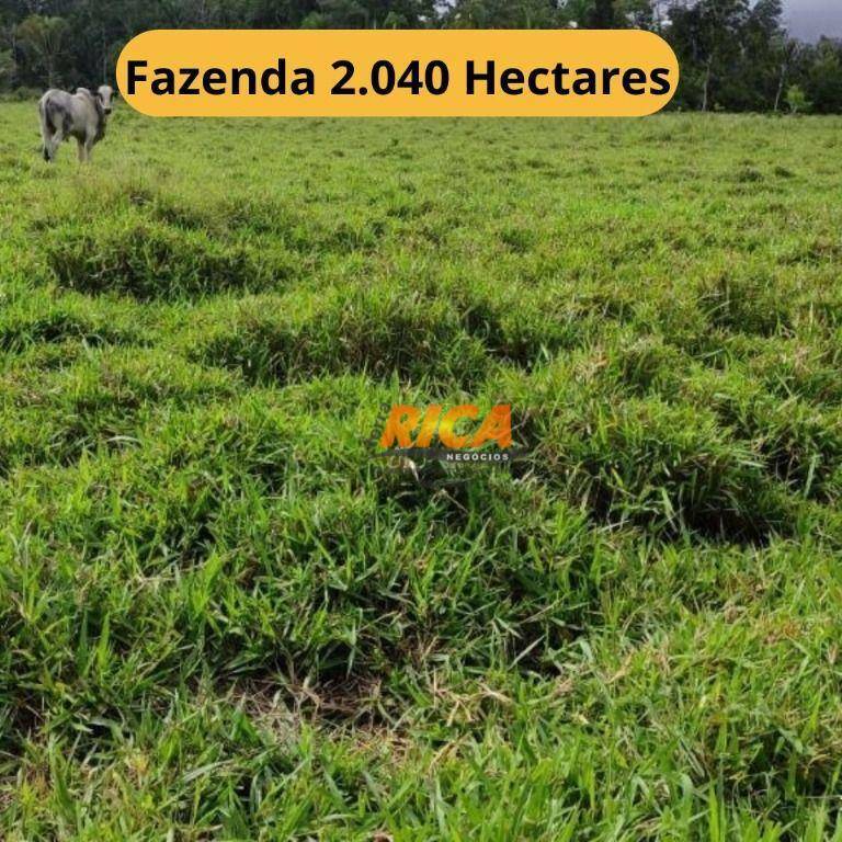 Fazenda-Sítio-Chácara, 2040 hectares - Foto 1