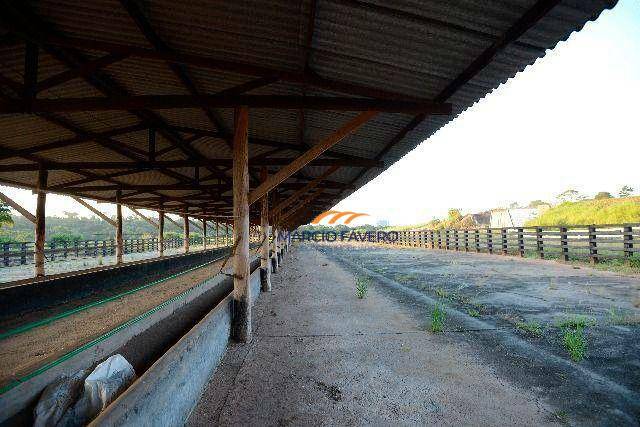 Fazenda à venda, 505779M2 - Foto 5