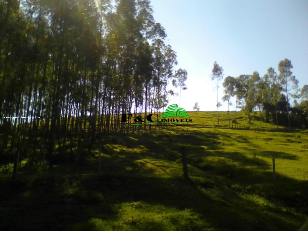 Fazenda à venda com 2 quartos, 40000m² - Foto 10