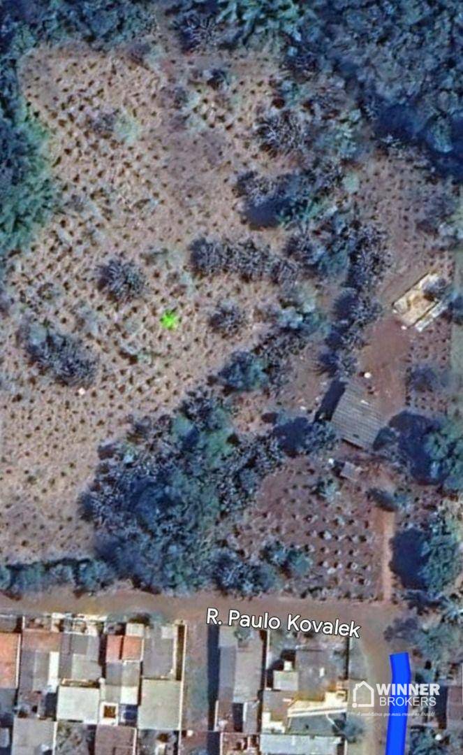 Chácara, 2 hectares - Foto 5