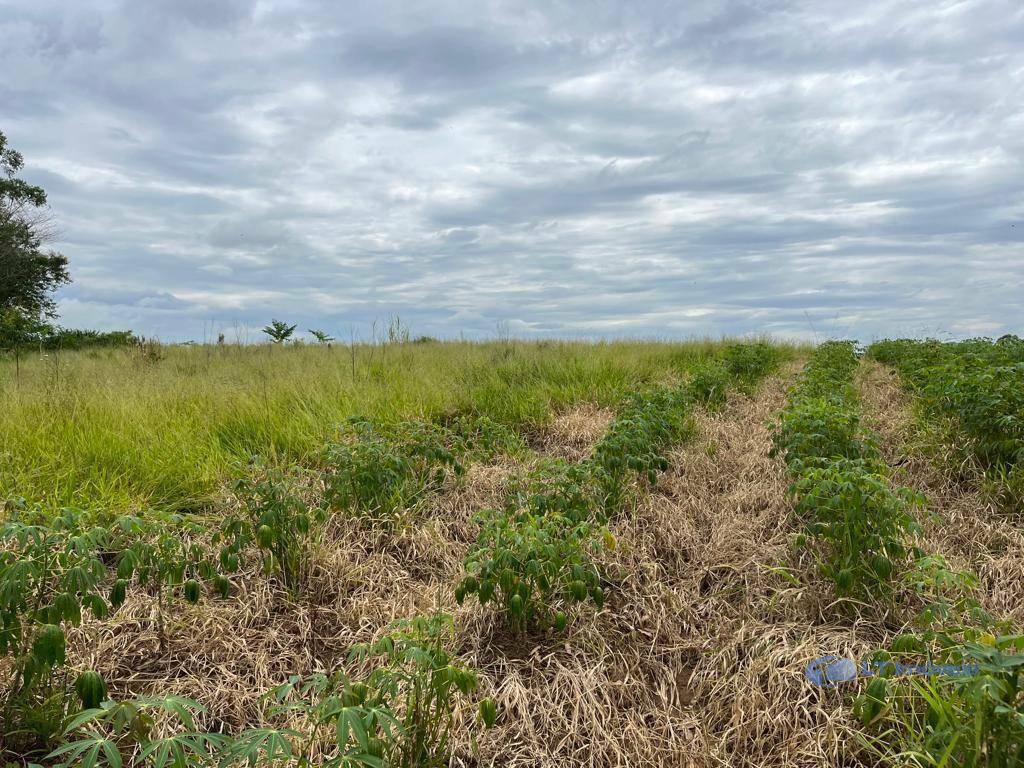 Terreno à venda, 1000M2 - Foto 8