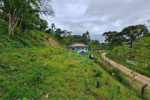 Chácara, 2 hectares - Foto 8